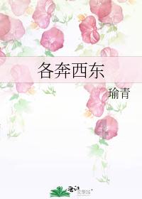 空气凤梨怎么养